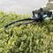 A person is trimming green bushes with an electric hedge trimmer.
