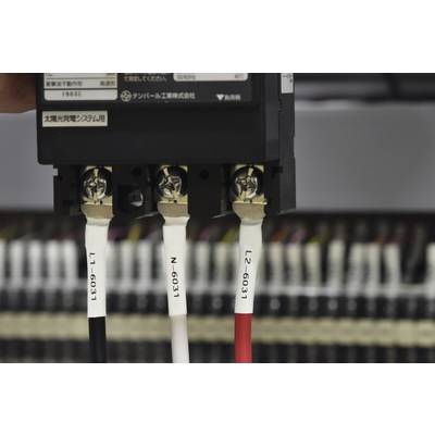 A black device with three connected coloured cables, labelled 'L1-6031', 'N-6031' and 'L2-6031'. Blurred in the background.