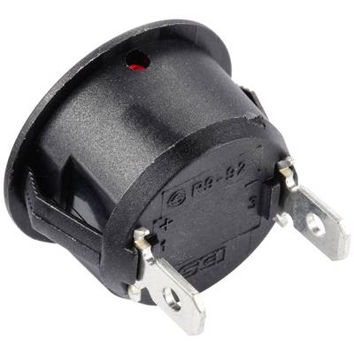 A black round toggle switch with metal contacts for electrical connections. On the rear side, '+' and '-' symbols are visible.