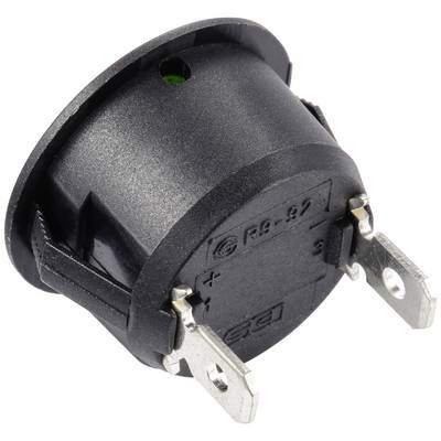 A round rocker switch with three metal contacts and a black housing.