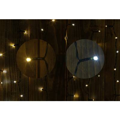 Fairy lights in warm white and cool white, hanging in front of a wooden wall. Warm tones on the left, cool tones on the right, to compare colour temperatures.