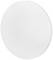 A round, white disc without any discernible details or patterns on a neutral surface.