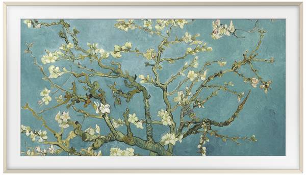 Samsung VG-SCFC55SGMXC Flatscreen TV frame