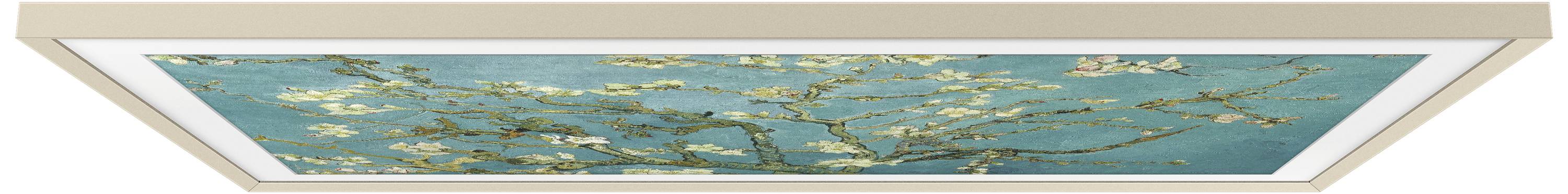 Ceiling painting: Blossoming almond tree on a blue background, inspired by still life. Branches with white blossom.