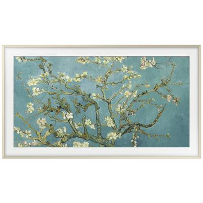 A cherry blossom branch with white blossoms against a turquoise background, inspired by Vincent van Gogh's style.