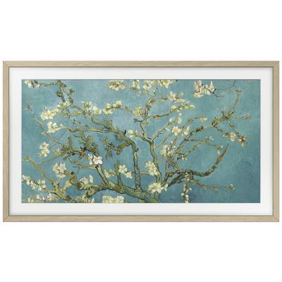 A painting of a flowering almond tree with white blossoms on a blue-green background.