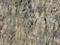 A coarse-textured stone wall with light grey and beige nuances, showcasing natural rock formations and textures.