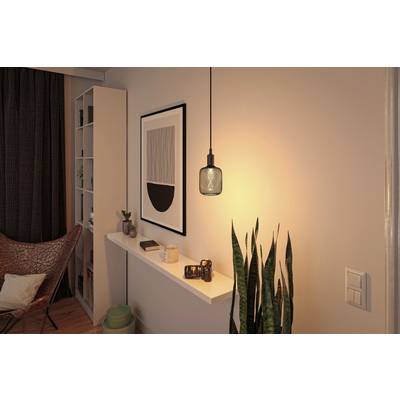 Warm living room design with a pendant light, plants, shelves, artwork on the wall and a comfortable chair in a cosy corner.