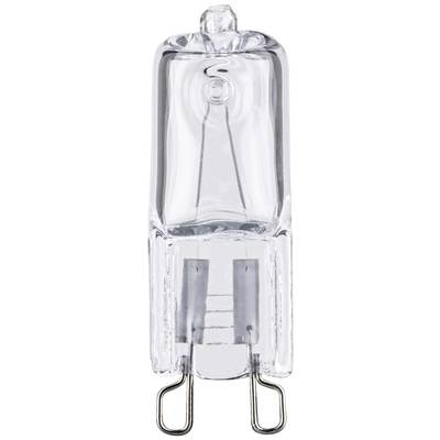 Small, transparent halogen lamp with two metal pins for electrical connection, commonly used in household appliances and light fittings.