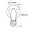 Light bulb diagram with dimensions: Diameter 25 mm, Height 60 mm. Used to illustrate the specific light bulb size.