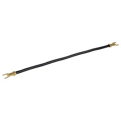 A black bow with a golden handle and metal tips.