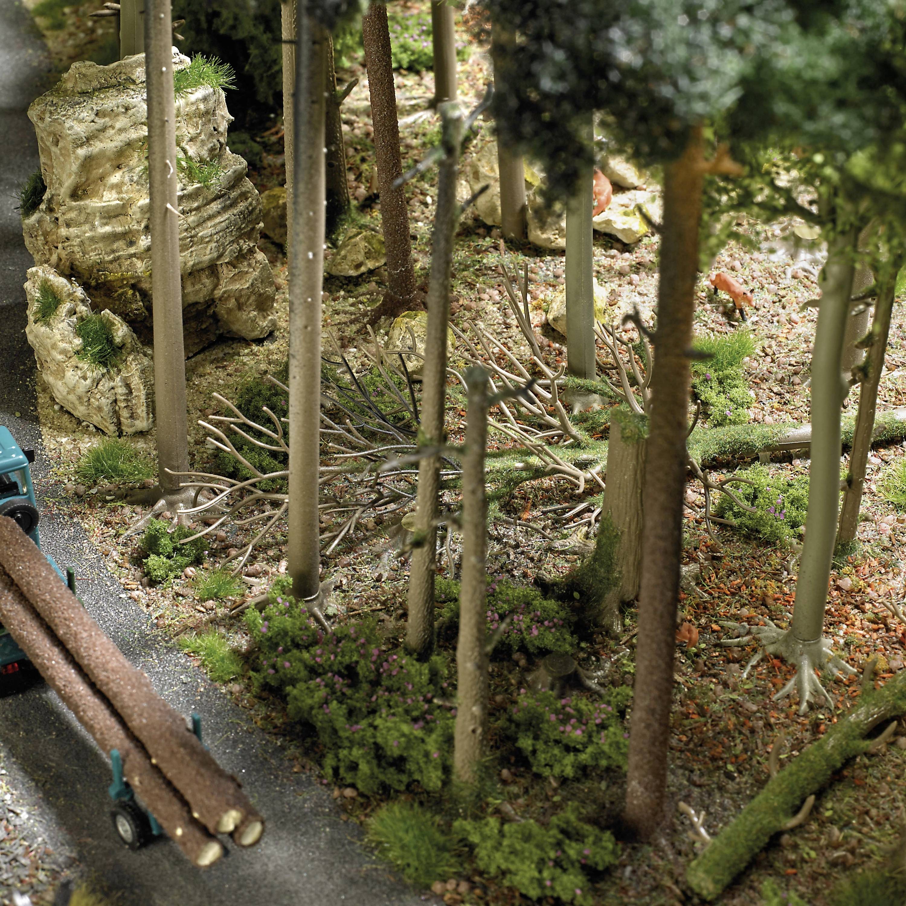 A lorry is transporting tree trunks through a dense forest. All around, tall trees and thick ground vegetation can be seen.