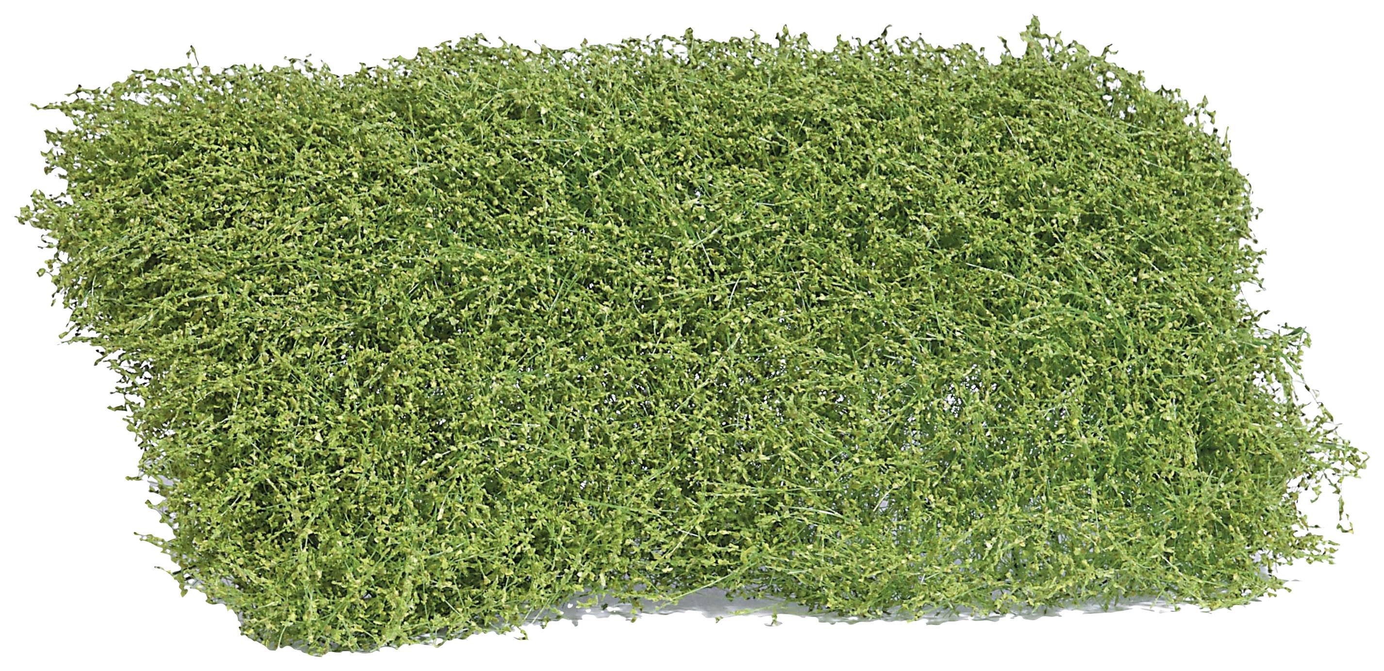 'Dense, green moss interlacing on a white background, likely suitable for decorative purposes or model-making.'