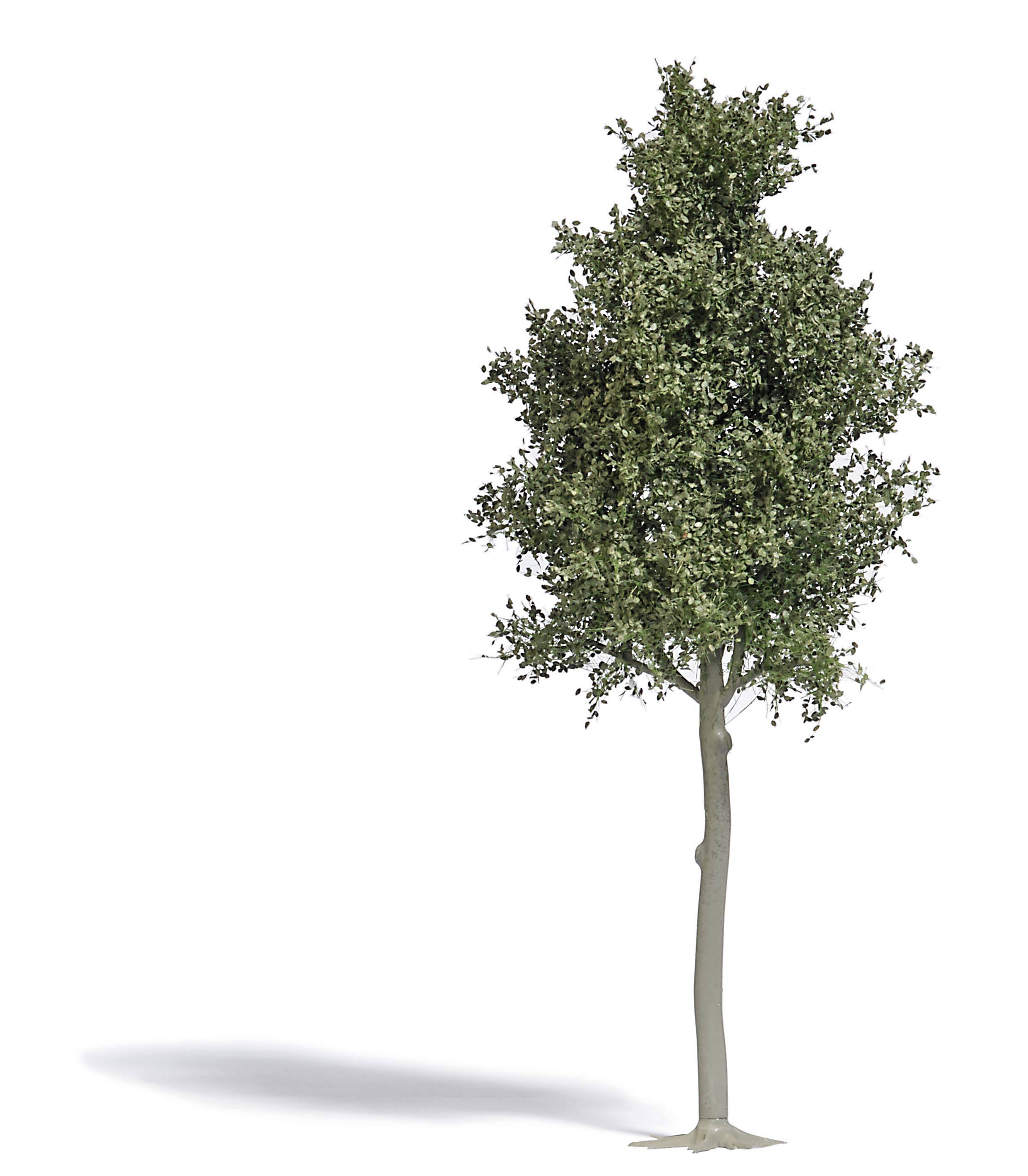 Image of Busch 3798 Tree Beech 1 pc(s)