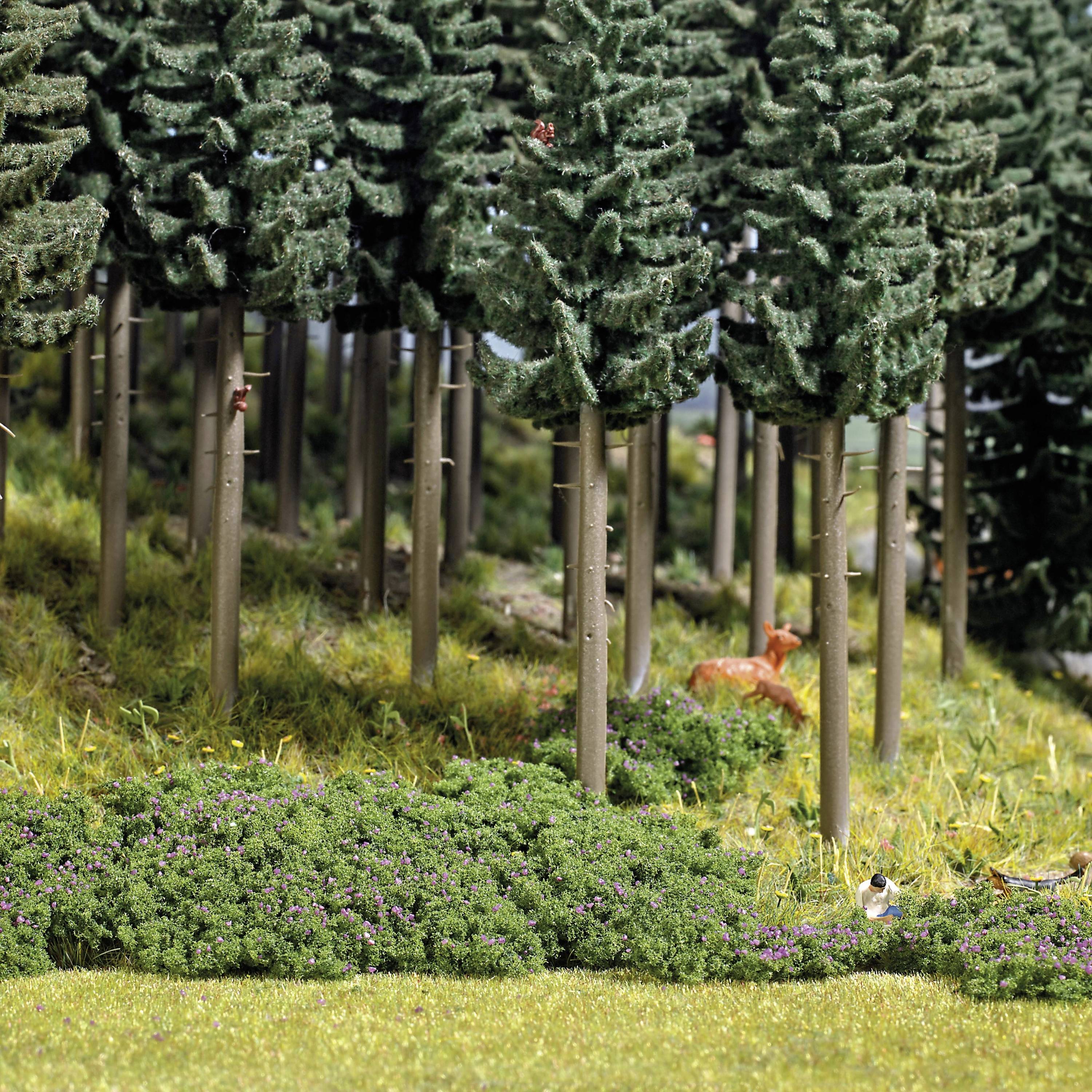 A roe deer stands in the shady woodland, surrounded by tall, green fir trees. The ground is carpeted with moss. A tranquil, natural scene.