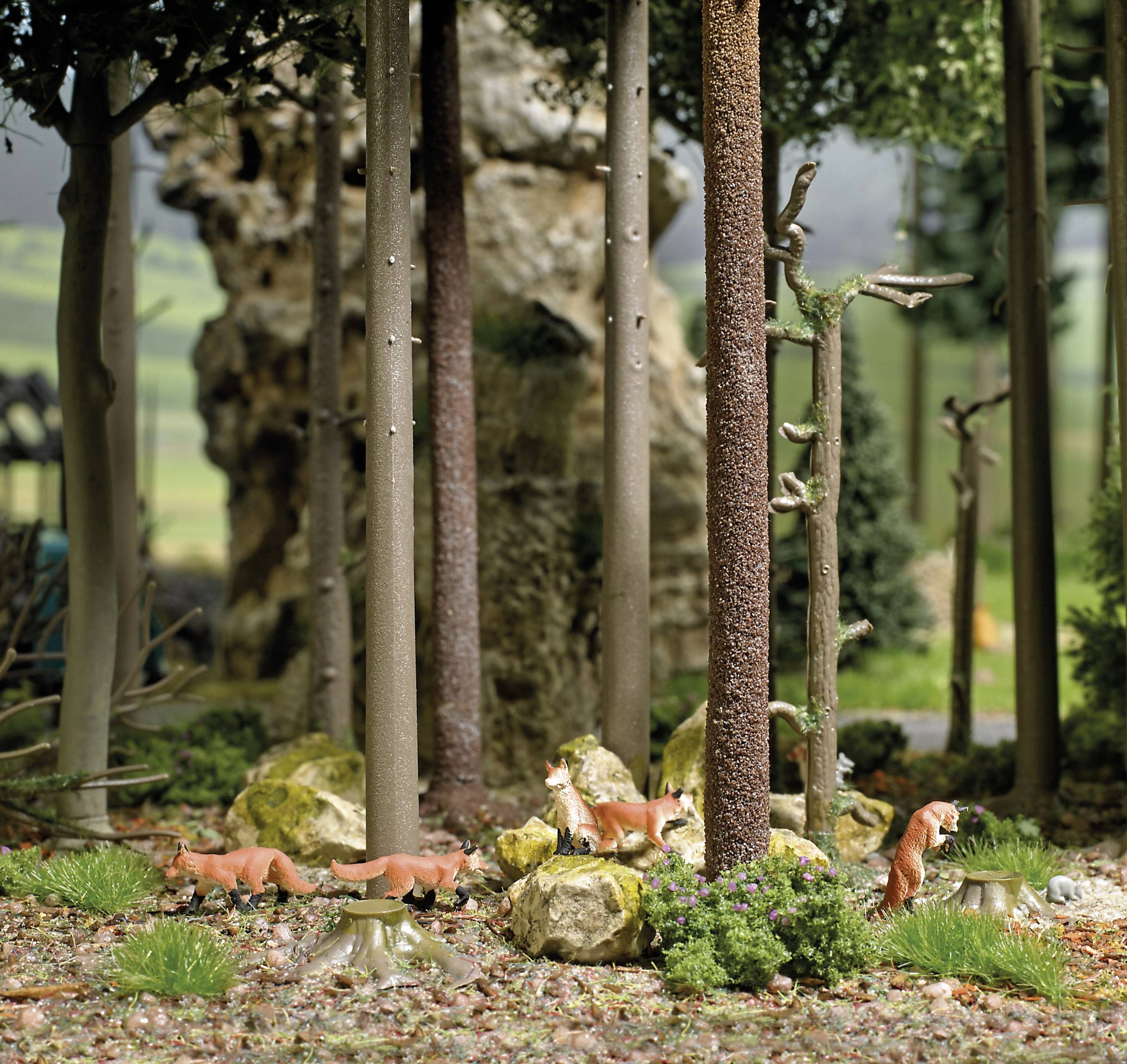 Forest scene with several foxes visible among tall trees and rocks. Blurred mountains and sky in the background.