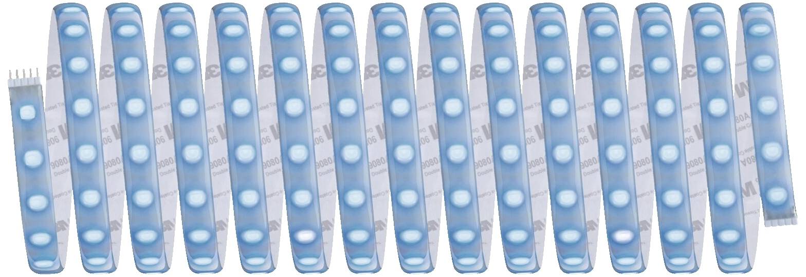 A row of 15 blue plastic test tubes, vertically arranged, presumably for laboratory tests. They are evenly aligned.