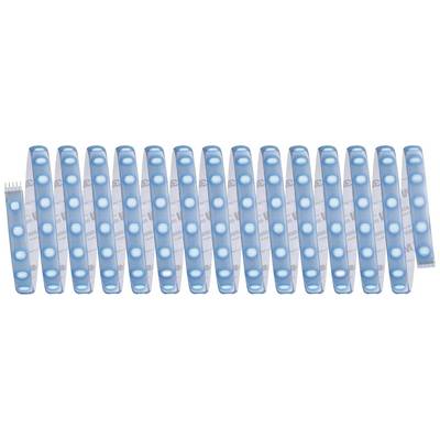 A row of 15 blue plastic test tubes, vertically arranged, presumably for laboratory tests. They are evenly aligned.