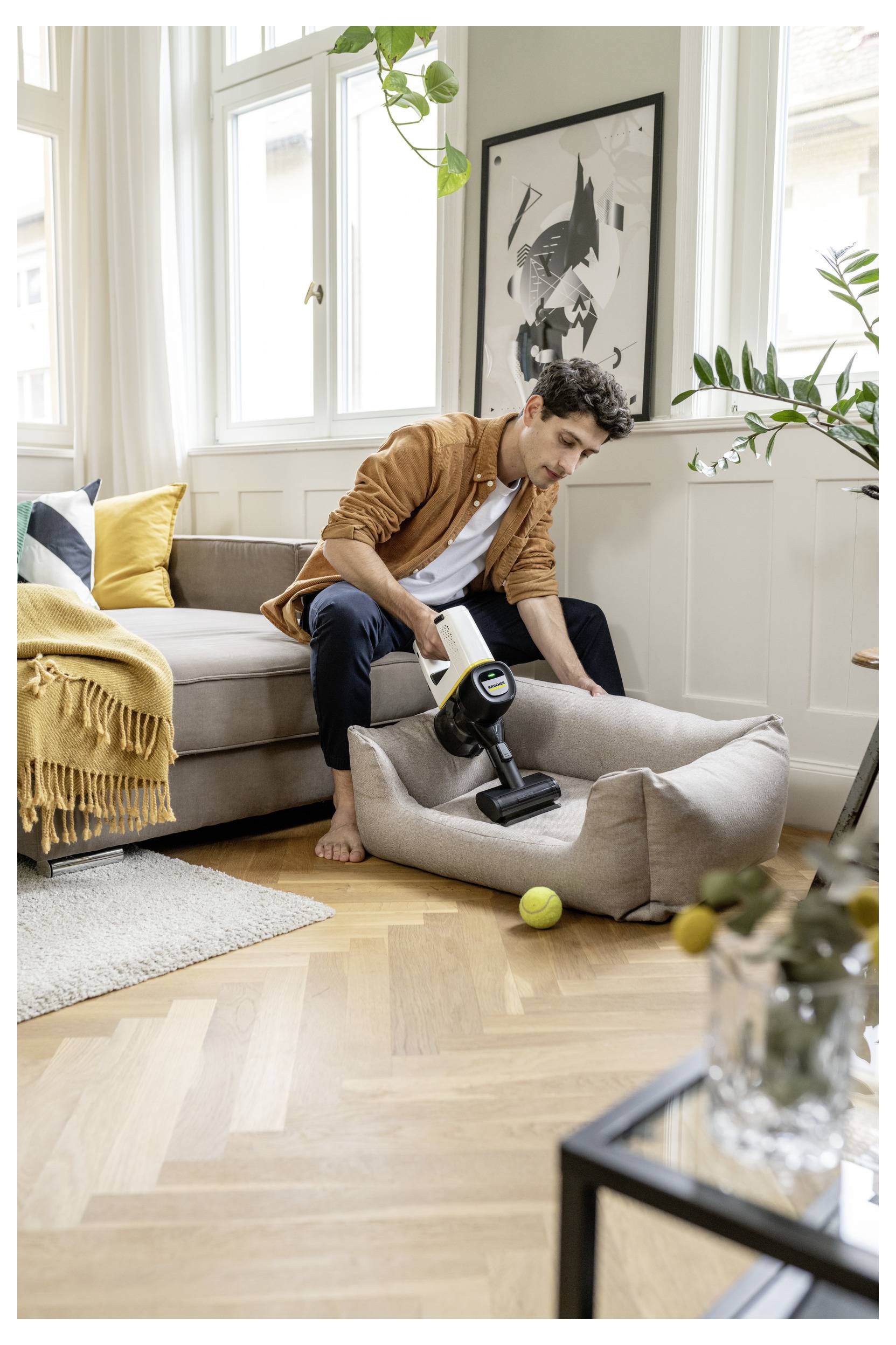 A person vacuuming a pet bed in a living room with a beige couch, framed artwork on the wall, and a plant nearby. A tennis ball is on the floor.