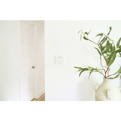 Bosch CO Detector D-CO - Eenvoudig Te Installeren Koolmonoxide Alarm Met Geheugenmodus & Einde Levensduur Indicator Bosch CO Detector D-CO - Eenvoudig Te Installeren Koolmonoxide Alarm Met Geheugenmodus & Einde Levensduur Indicator