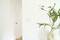 A bright, minimalist corner of a room with a white door and a plant in a beige vase on a table.
