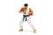 An action figure in martial arts attire is posing with raised fists. It is wearing a white gi with a black belt and red hand guards.
