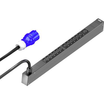 Power distribution strip with ten outlets and a blue, removable plug, suitable for reliable power supply.