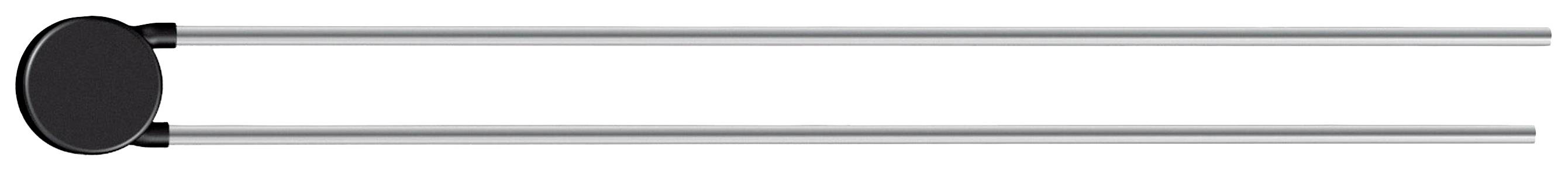 A black oval from which two parallel, long, silver rods extend to the right.