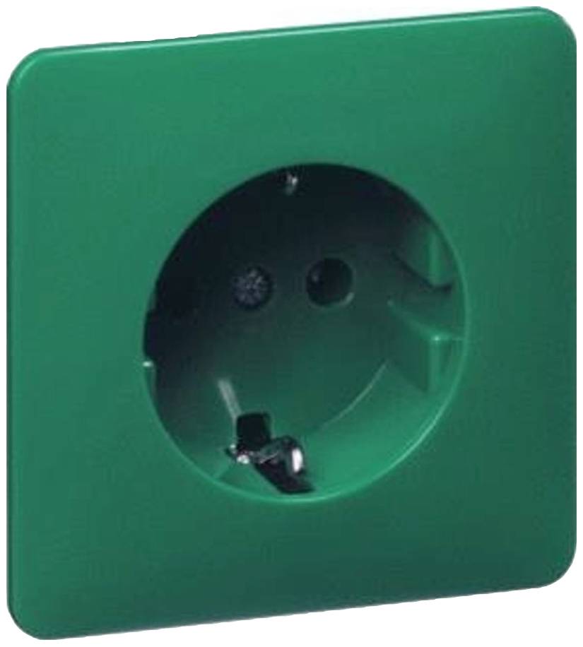 Green wall socket with two plug holes and earth connection.