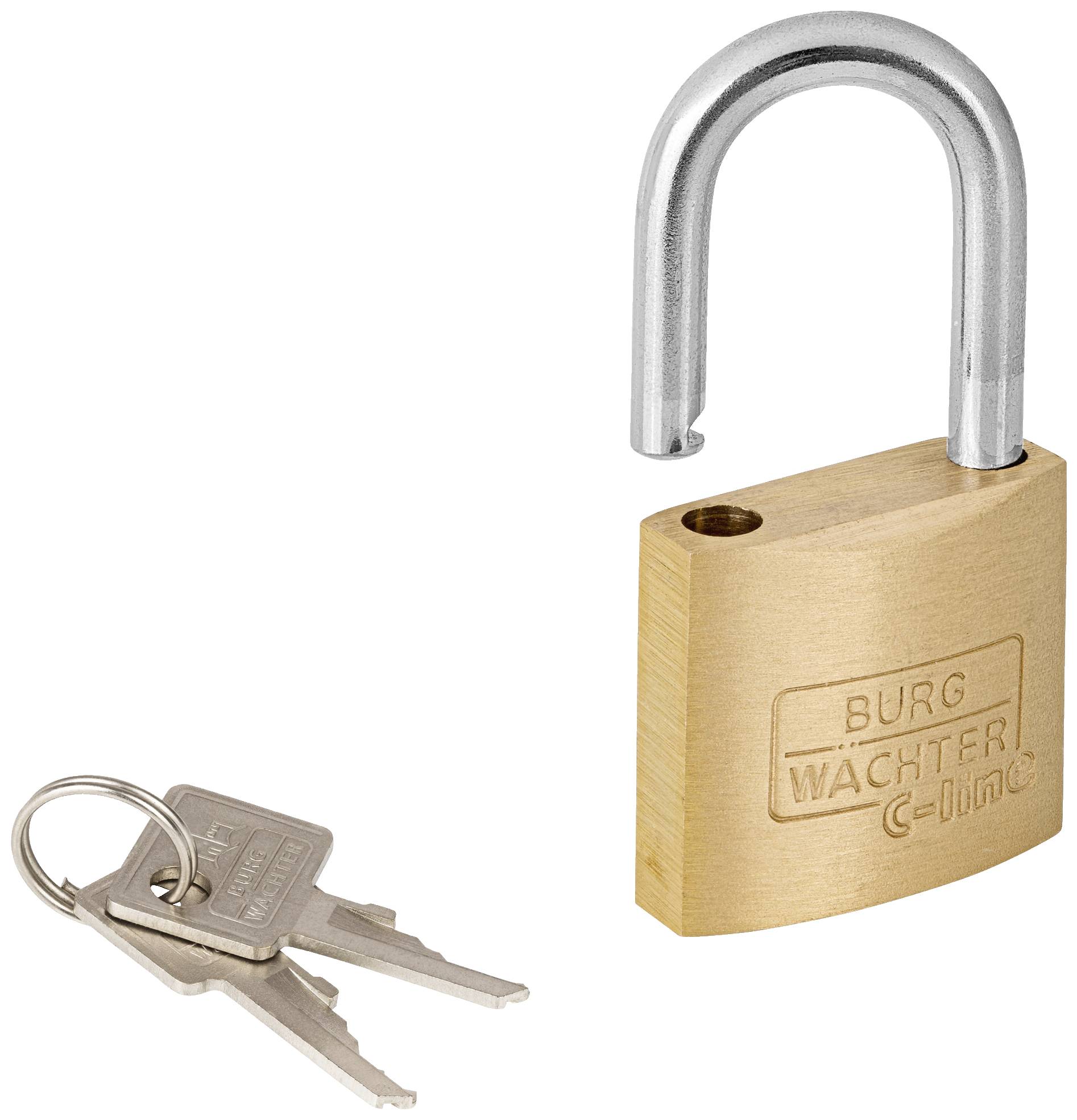 An open bronze padlock with two keys on a ring; symbolises security or access.