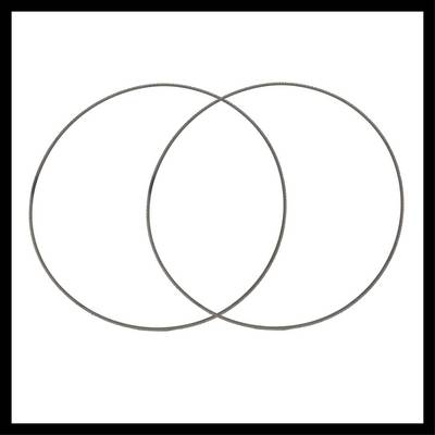 Two overlapping circles forming an intersection. Diagram showing common and distinct characteristics.