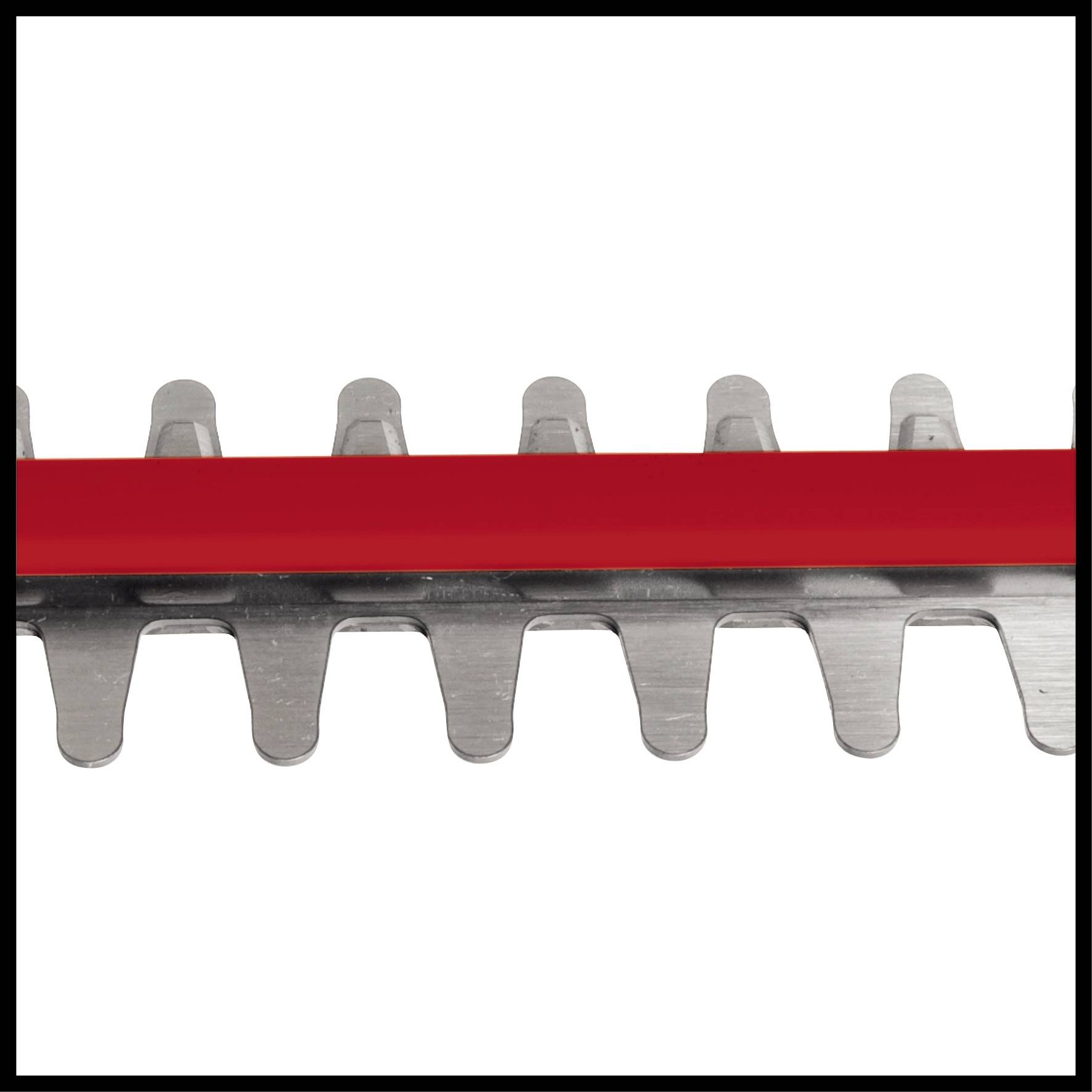 Close-up of a hedge trimmer blade with a red protective strip along the cutting teeth.