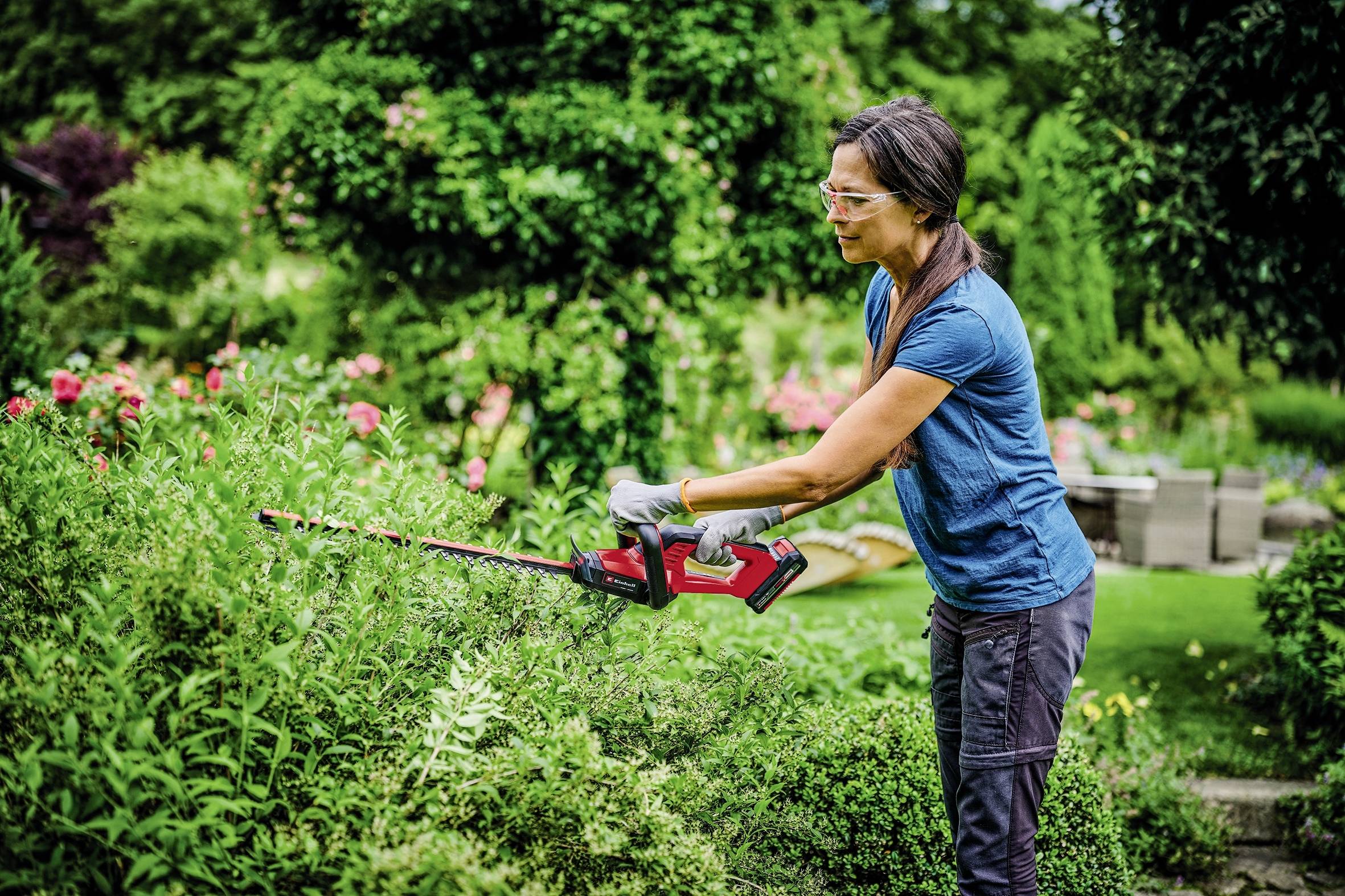 A woman is trimming bushes in the garden with an electric hedge trimmer. Shrubs and garden furniture can be seen in the background.