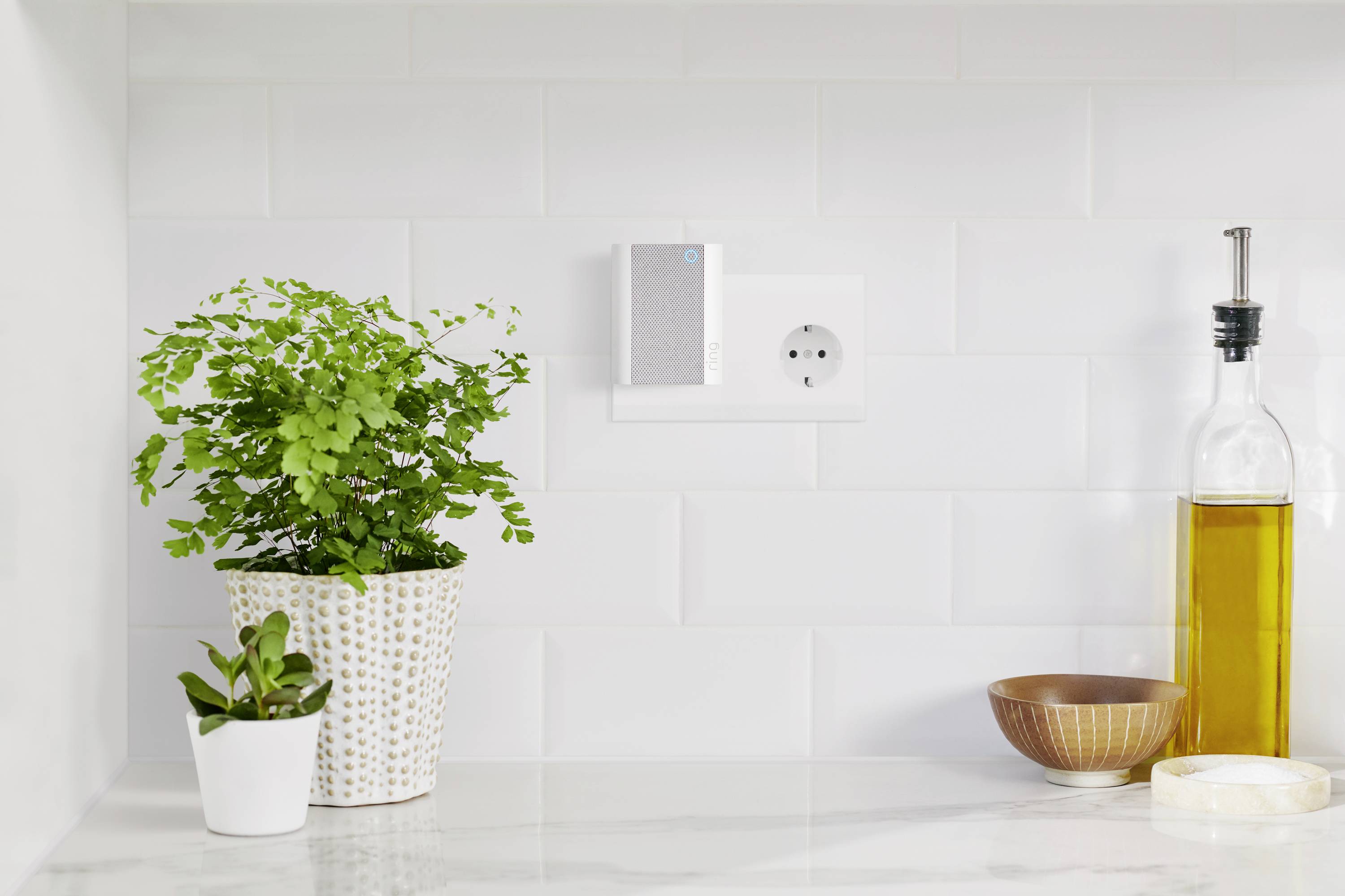 Two plants in pots are standing on a white worktop next to an oil bottle and a bowl against a white tiled background.