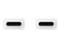Two USB-C ports on a white background. Each port displays the typical elongated shape and exposed connection contact.