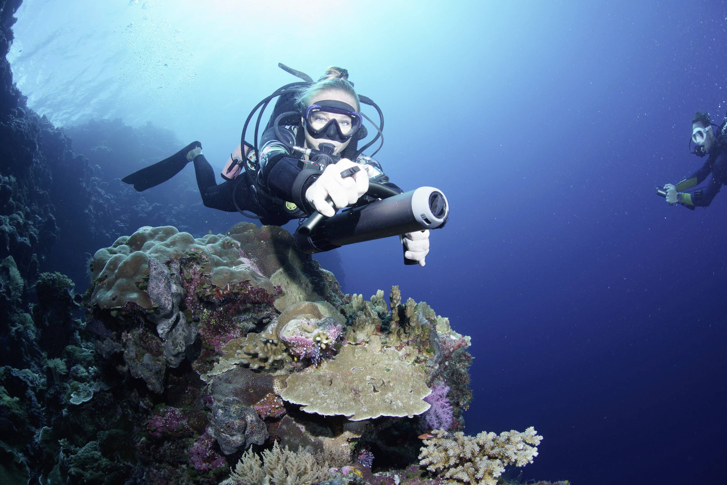 A female diver explores a coral reef slope with a camera, whilst another diver observes in the background.