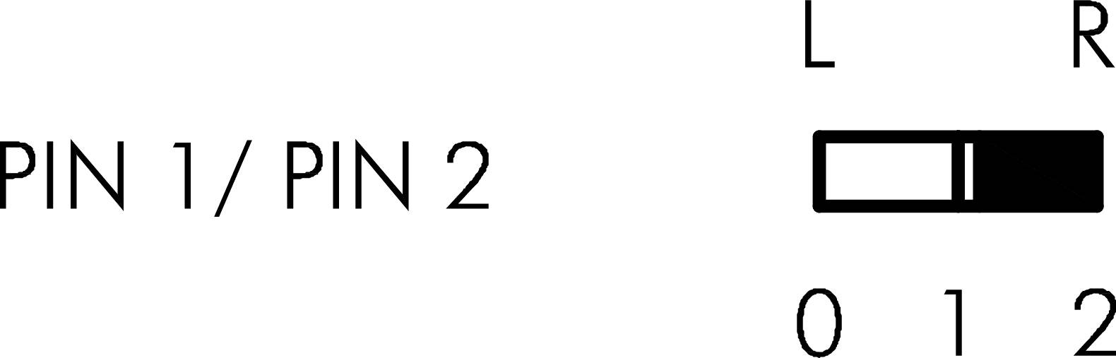 'PIN 1 / PIN 2' with slider in three positions: L and R for Right and Left, 0, 1, 2 for different settings.