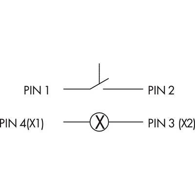 Switching symbol shows a changeover switch with pins: PIN 1 to PIN 2, PIN 4(X1) to PIN 3(X2), X in the middle connects the lower pins.
