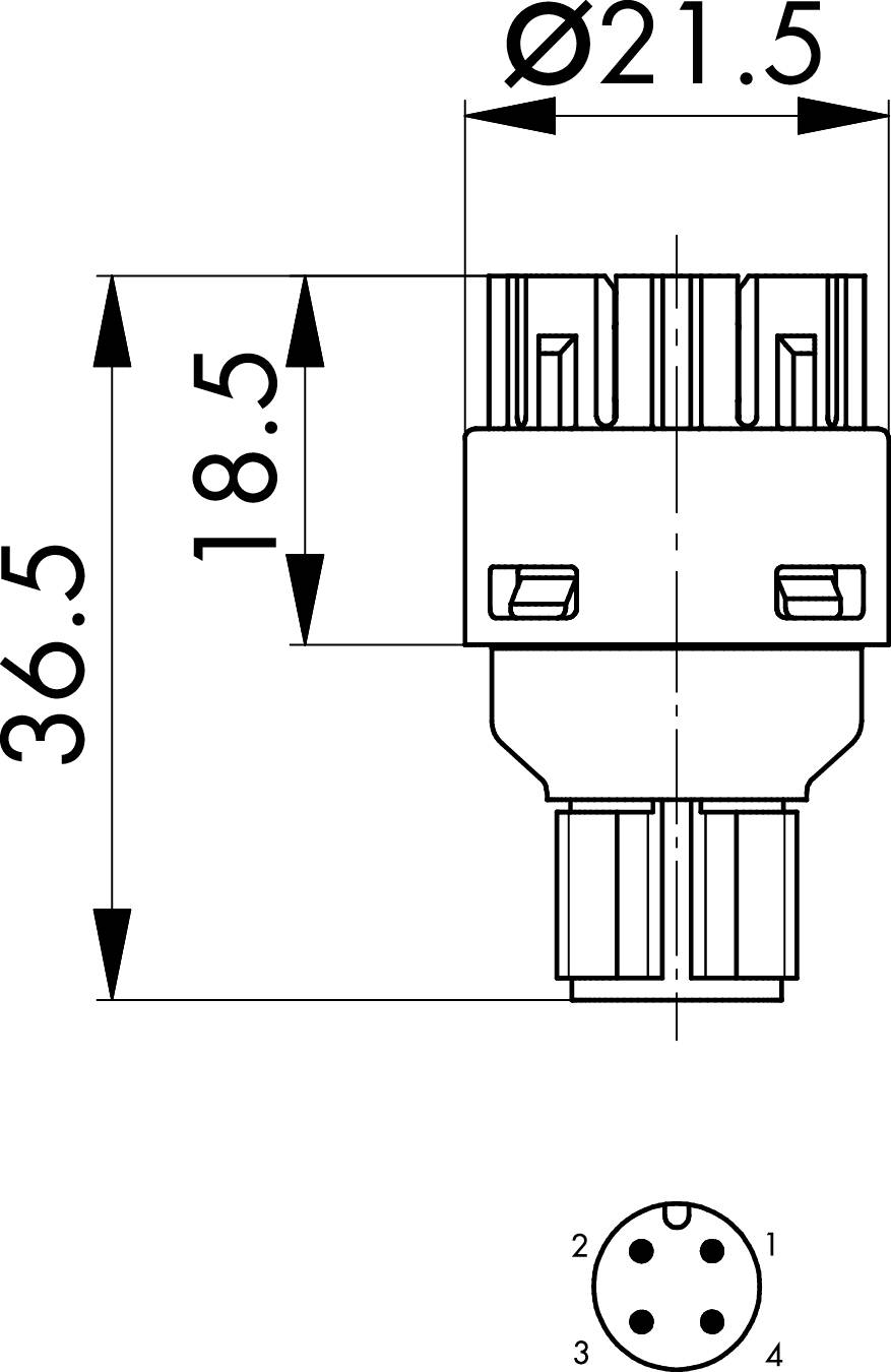 Figure shows technical plug connection with dimensions: Length 36.5 mm, diameter 21.5 mm. Pin configuration shown below.