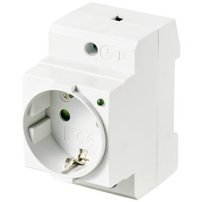 Electronic socket on a white background, showing plug openings, green indicator light, and screw terminal for mounting.