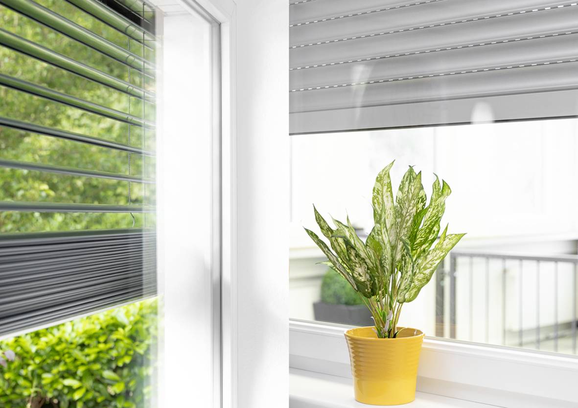 A yellow plant pot with a plant sits on a windowsill. Green trees can be seen outside. Roller blinds are half-drawn.