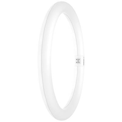 OSRAM LED (monochrome) EEC: F (A - G) G10q Ring shape 18.3 W = 32 W Warm white (Ø x L) 300 mm x 300 mm 1 pc(s)