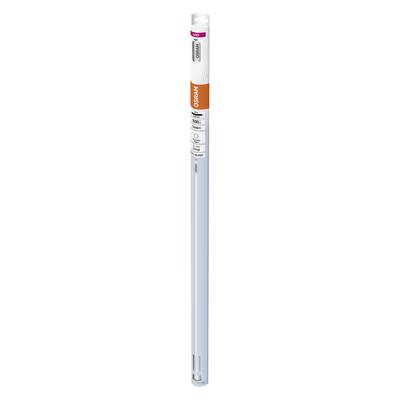 A white, long Philips UV-C disinfection lamp in packaging. The packaging has orange and pink details.