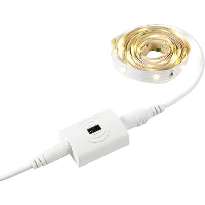 A coiled LED light strip with a connected adapter shows the connection to a power source for lighting.