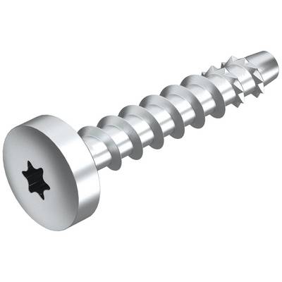 Silver screw with star-shaped head and sharp point. Suitable for wood or metal connections.