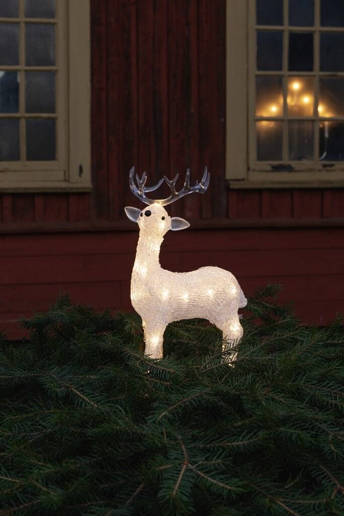 A illuminated reindeer decoration stands on pine branches in front of a russet-coloured building with lit windows in the background.