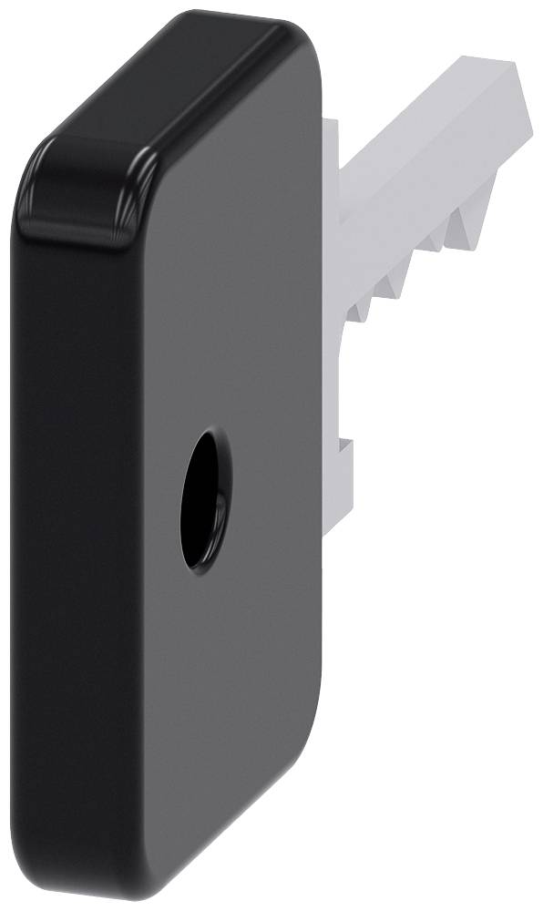 A black, stylised key with a rectangular head and serrated shaft, symbolising access or security.