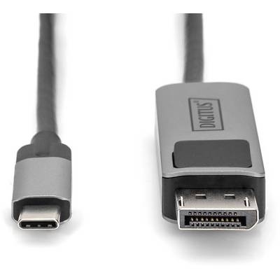 Visible is a DisplayPort adapter cable with a USB-C connector on the left side and a DisplayPort connector on the right side.