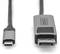 Visible is a DisplayPort adapter cable with a USB-C connector on the left side and a DisplayPort connector on the right side.