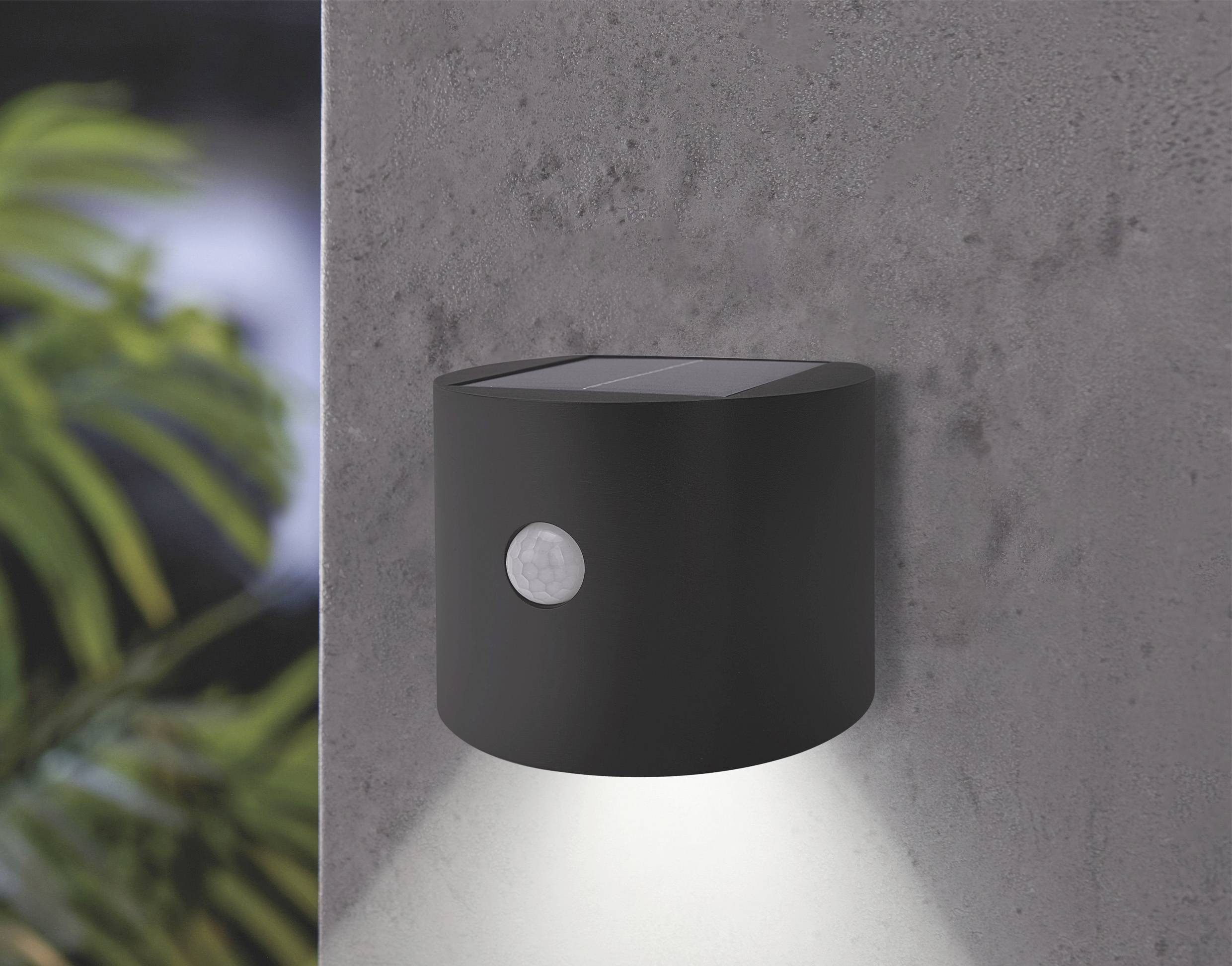 On the grey wall, there is a black, round wall light that shines downwards. To the left, blurred plants are visible.